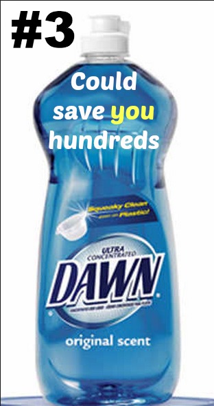uses for dawn