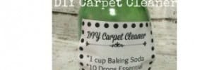 DIY Carpet Freshener