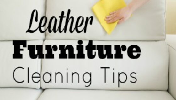 leather furniture cleaning tips