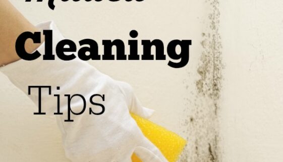 mildew cleaning tips