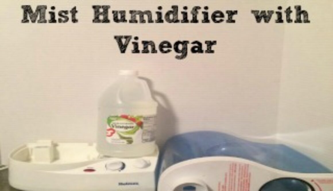 How To Clean A Cool Mist Humidifier with Vinegar is easy with these few tips.